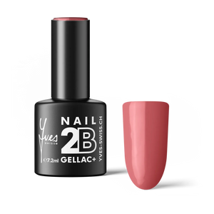 2B No. 081