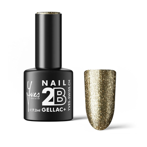 2B No. 085