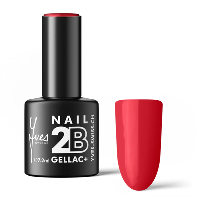 2B No. 096