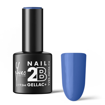 2B No. 098