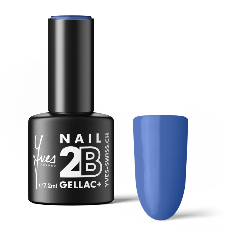 2B No. 098