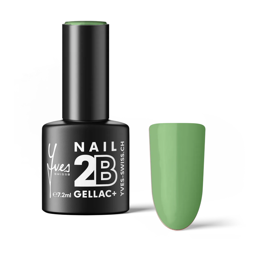2B No. 100 Sage Green
