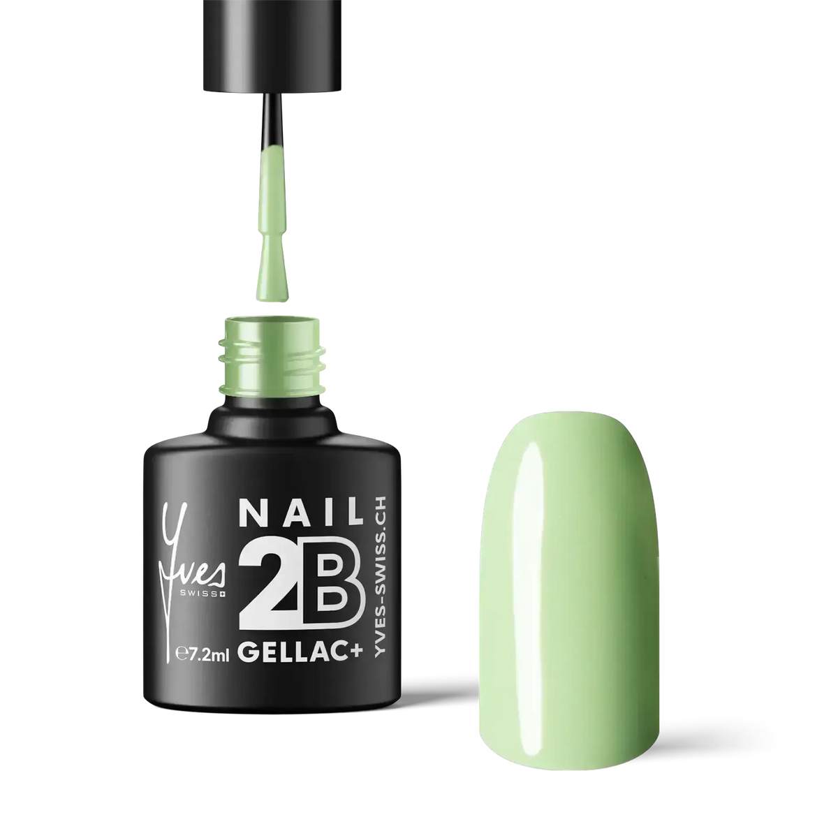 2B No. 100 Sage Green