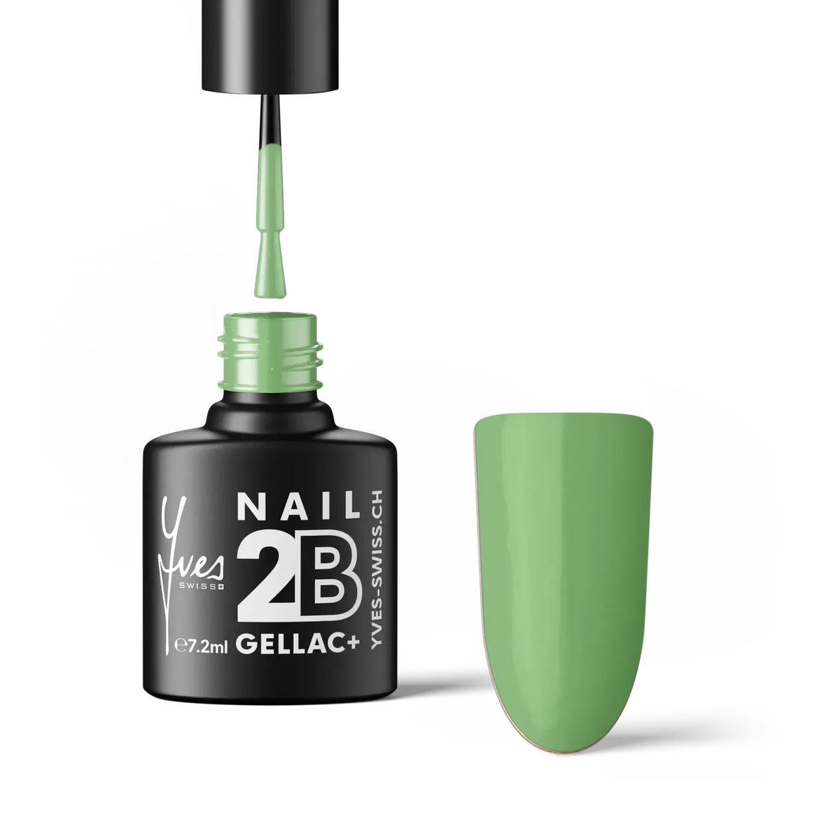 2B No. 100 Sage Green