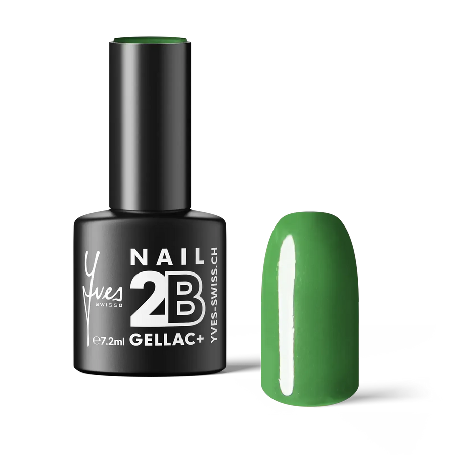 2B No. 103 Olive Green