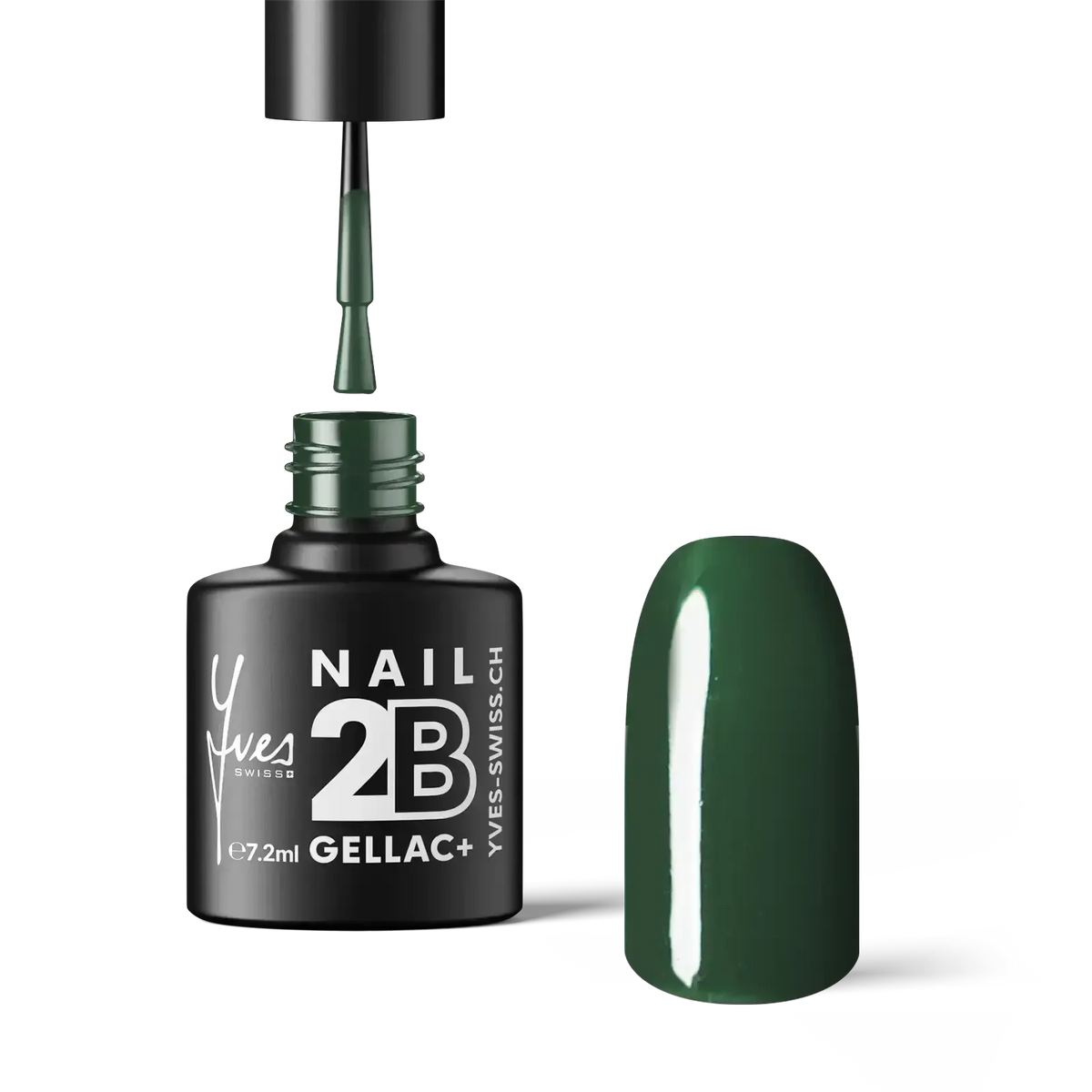 2B No. 105 Forest Green