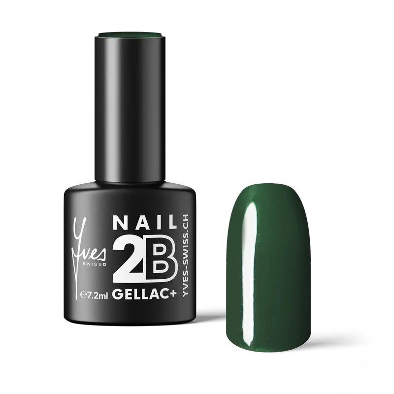 2B No. 105 Forest Green