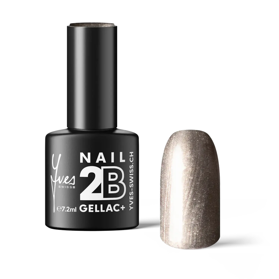 2B No. 116 Silver Dust