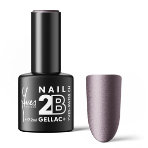 2B No. 119 Star Violet