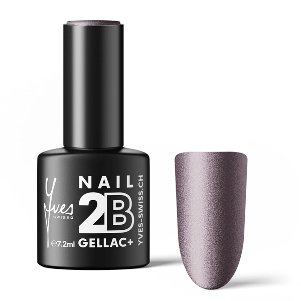 2B No. 119 Star Violet