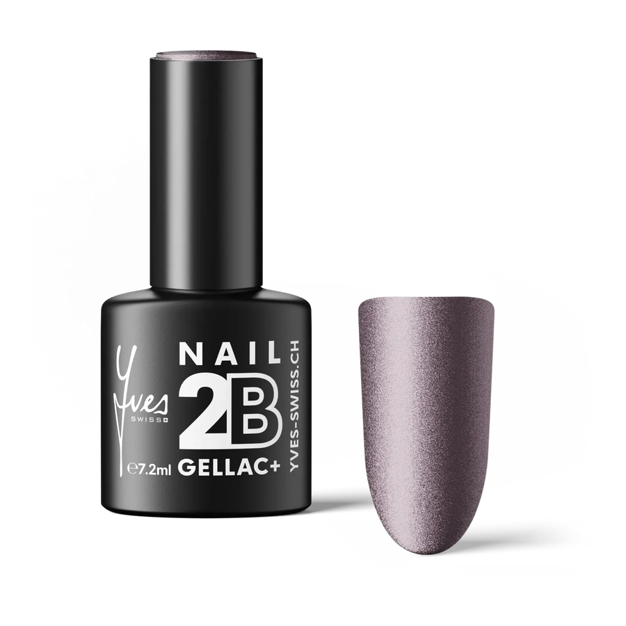 2B No. 119 Star Violet