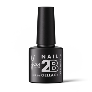 2B Base Coat
