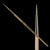 Holz